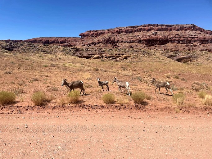 Caves (United States of America, Moab, Utah)