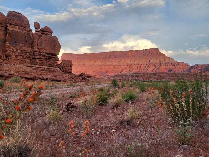 Caves (United States of America, Moab, Utah)