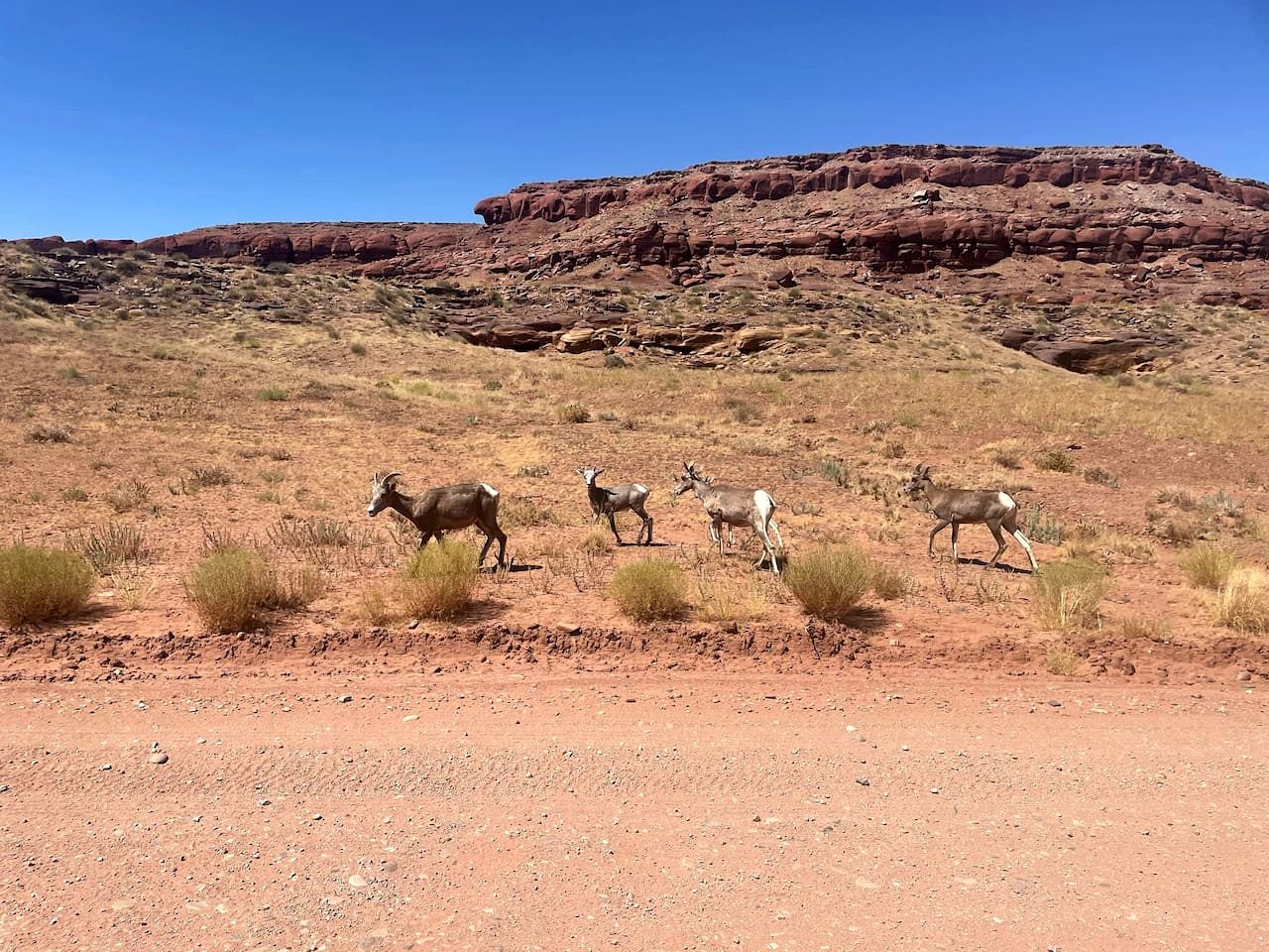The Caves at Moab - At Private Riverside Ranch near Dead Horse Point State Park