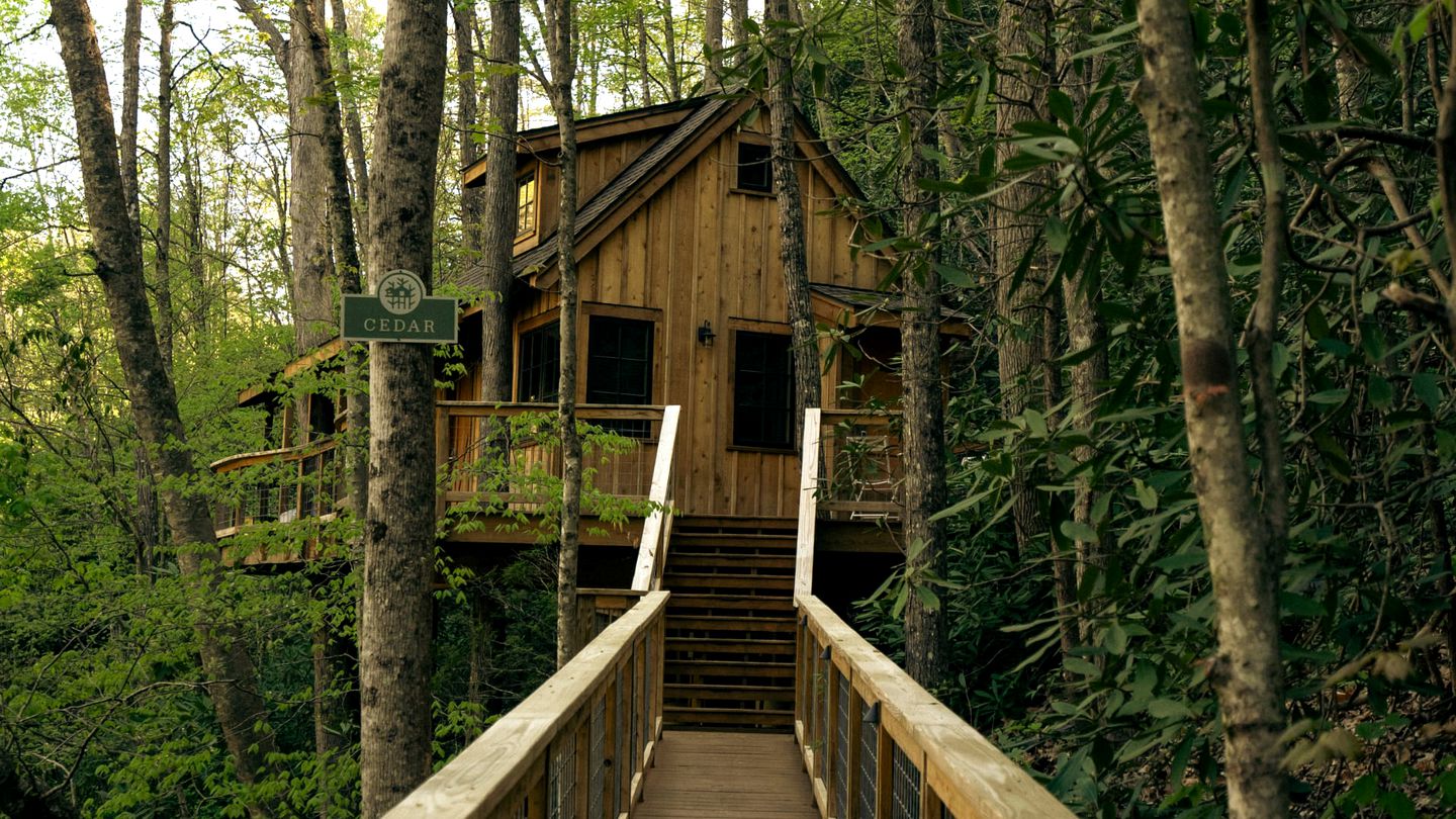 Incredible, Cozy Tree House in Gatlinburg, Tennessee