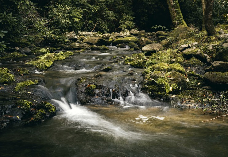 Tree Houses (United States of America, Gatlinburg, Tennessee)