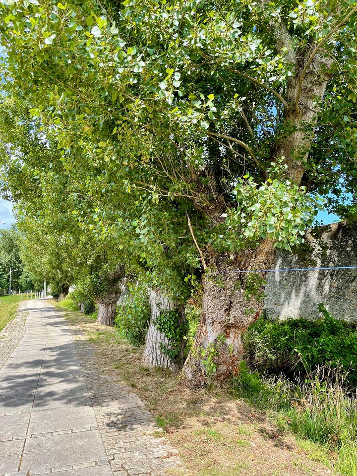 Modern Three Floors Cabin Surrounded with Beautiful Landscape in Viveiro, Galicia