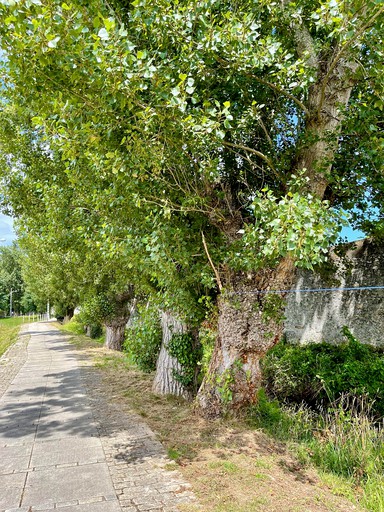 Cabins (Spain, Viveiro, Galicia)