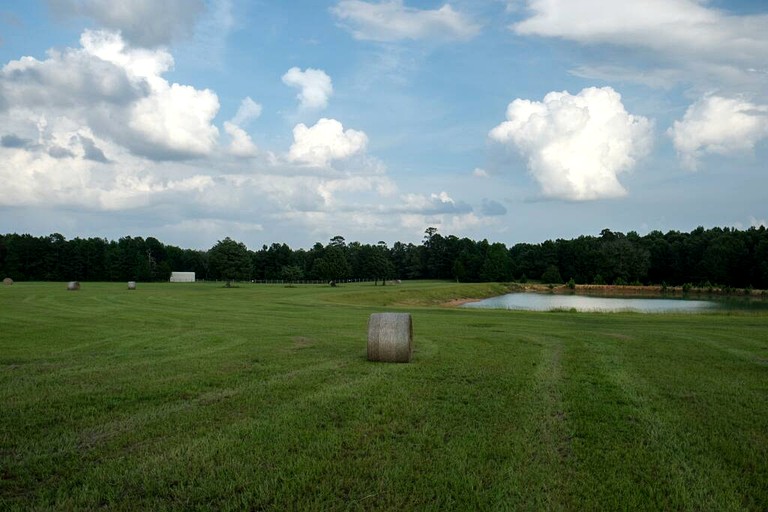 Vacation Rentals (United States of America, Mount Enterprise, Texas)