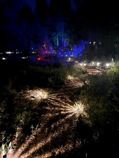 Cabins (United States of America, Mount Carmel, Utah)