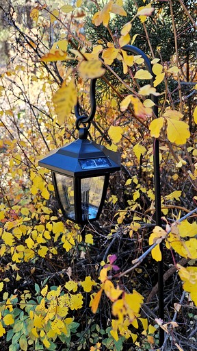 Cabins (United States of America, Mount Carmel, Utah)