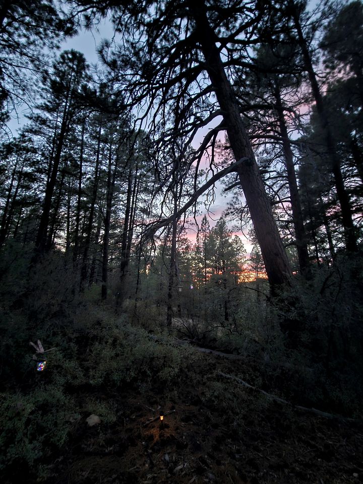 Convertible A-Frame Cabin with Epic Deck Views & Outdoor Shower in Mount Carmel, Utah