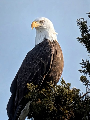 Cabins (United States of America, Mount Carmel, Utah)