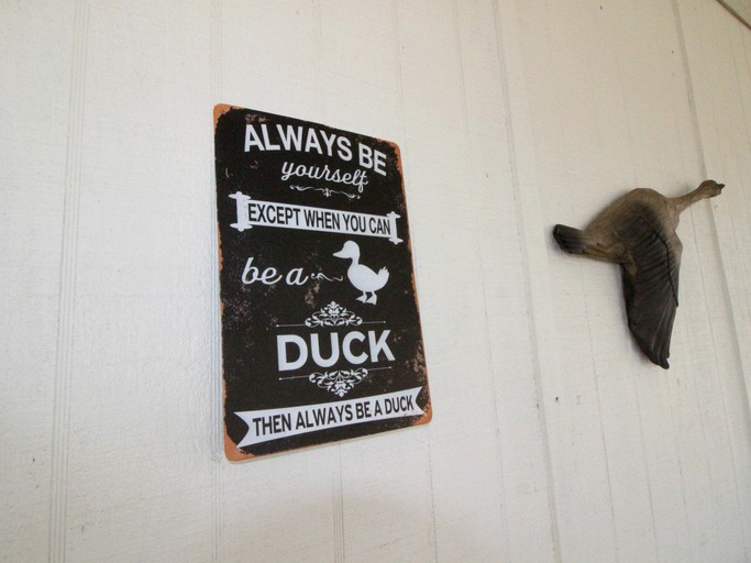 Cottages (United States of America, Copperhill, Tennessee)