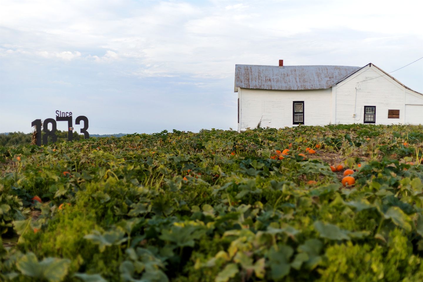 Charming Historic Farm Cottage on 800-Acre Orchard Near Shawnee Wine Trail | Alto Pass, Illinois