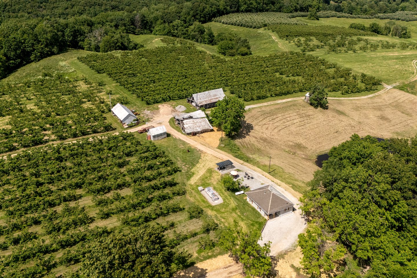 Charming Historic Farm Cottage on 800-Acre Orchard Near Shawnee Wine Trail | Alto Pass, Illinois