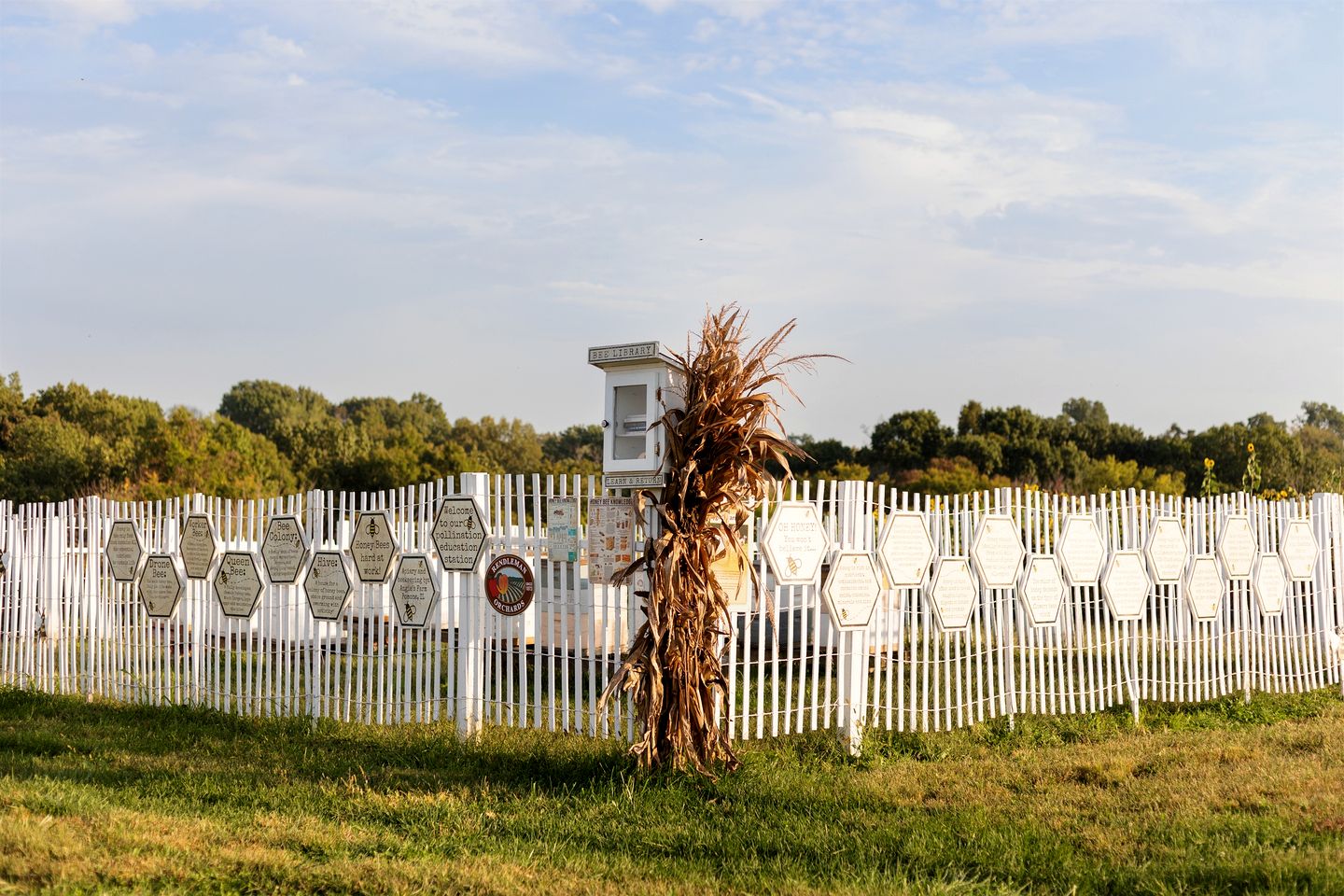 Charming Historic Farm Cottage on 800-Acre Orchard Near Shawnee Wine Trail | Alto Pass, Illinois