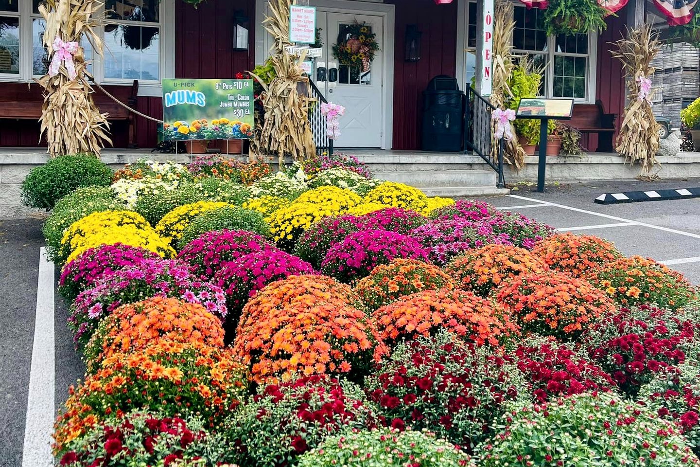 Charming Historic Farm Cottage on 800-Acre Orchard Near Shawnee Wine Trail | Alto Pass, Illinois
