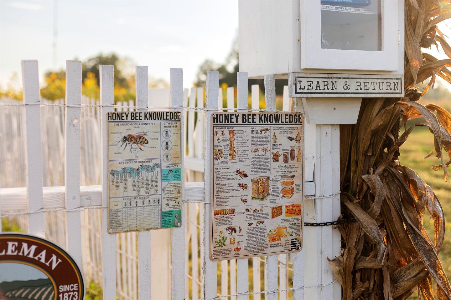 Charming Historic Farm Cottage on 800-Acre Orchard Near Shawnee Wine Trail | Alto Pass, Illinois