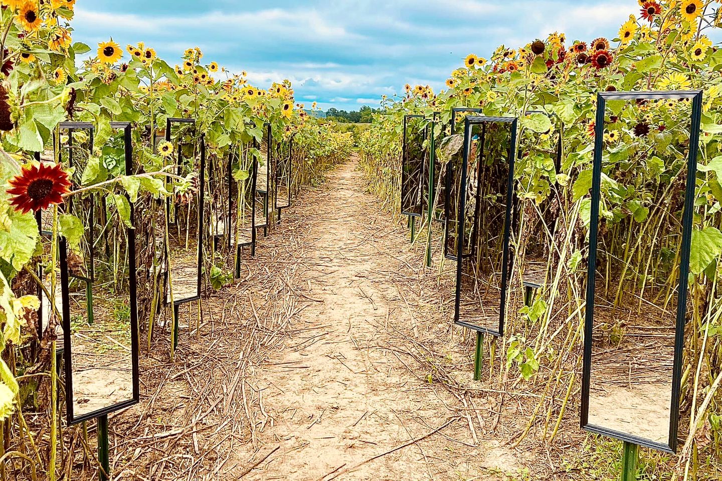 Charming Historic Farm Cottage on 800-Acre Orchard Near Shawnee Wine Trail | Alto Pass, Illinois