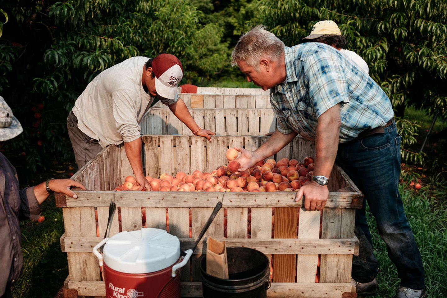 Charming Historic Farm Cottage on 800-Acre Orchard Near Shawnee Wine Trail | Alto Pass, Illinois