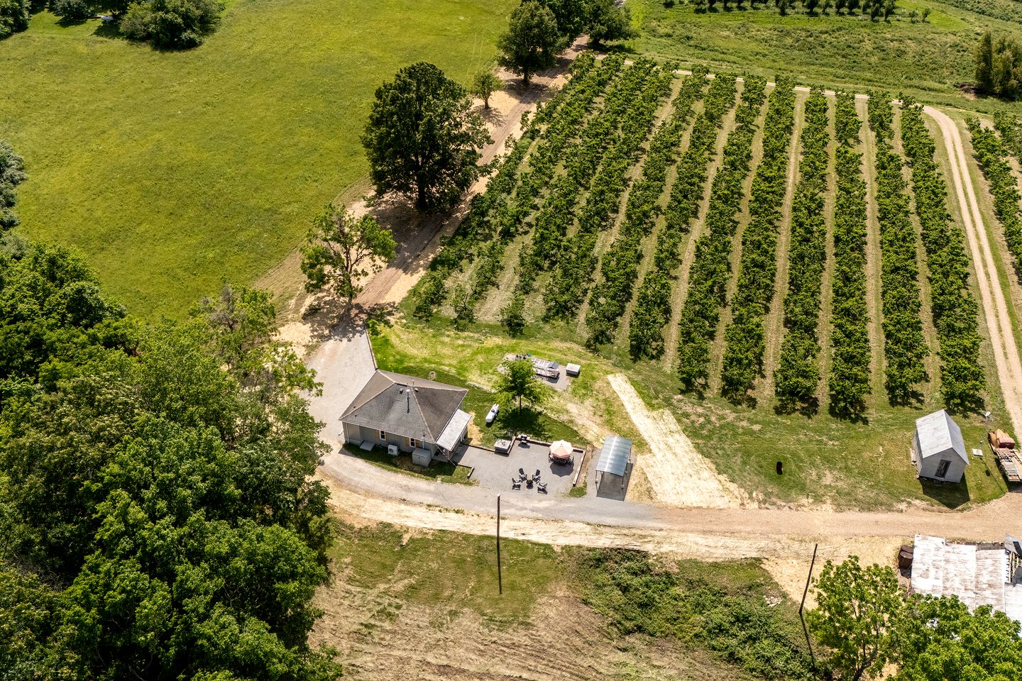 Charming Historic Farm Cottage on 800-Acre Orchard Near Shawnee Wine Trail | Alto Pass, Illinois