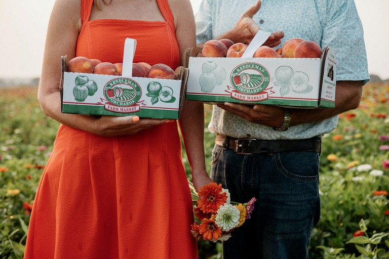 Vacation Rentals (United States of America, Alto Pass, Illinois)