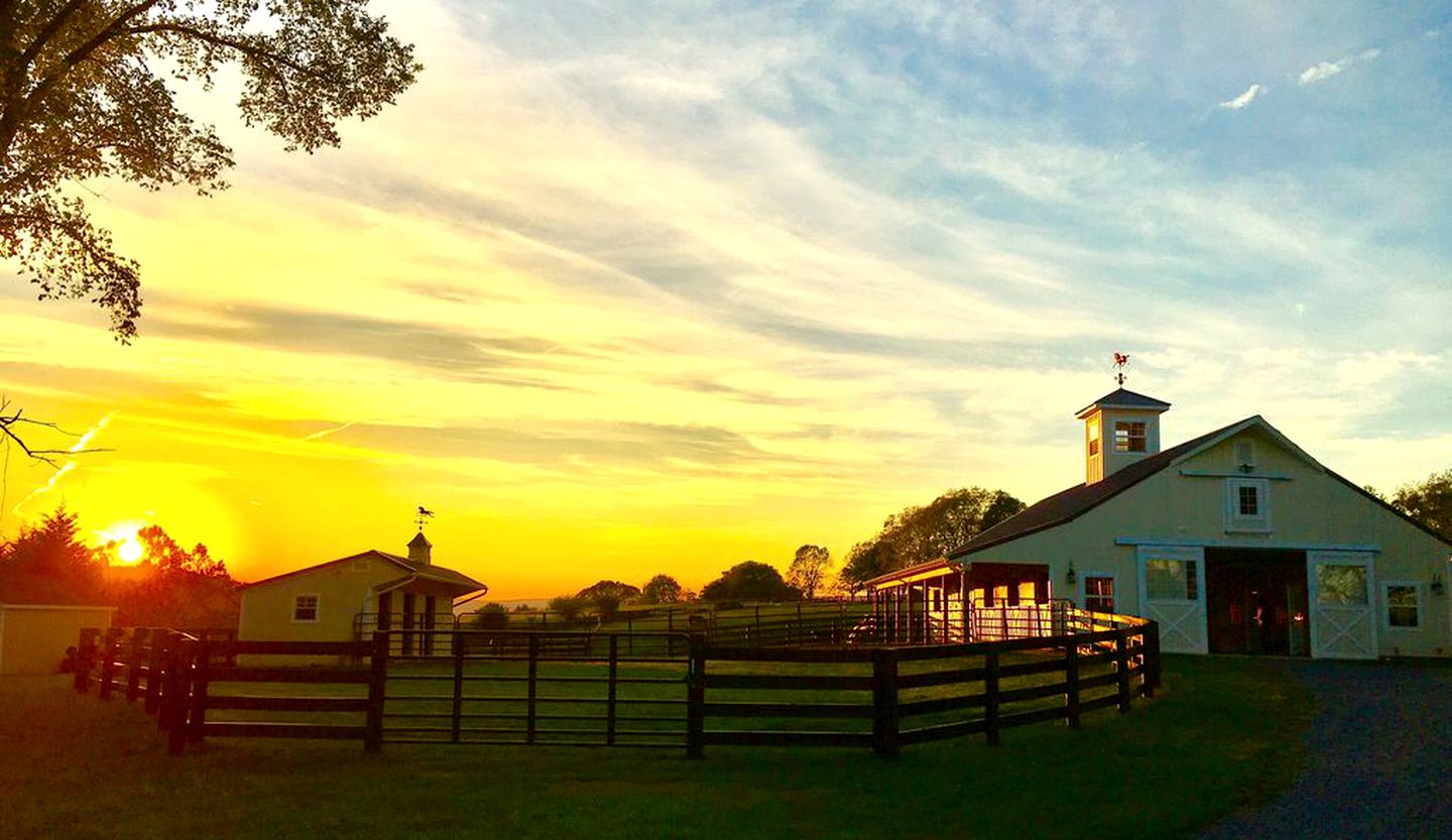 Spacious Cottage on Charming Vineyard in the Heart of Wine Country, Virginia