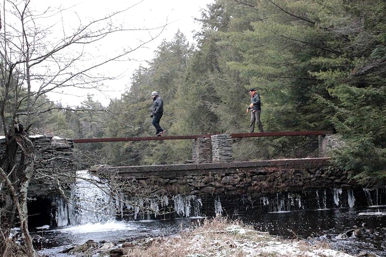 Nature Lodges (Sparrow Bush, New York, United States)