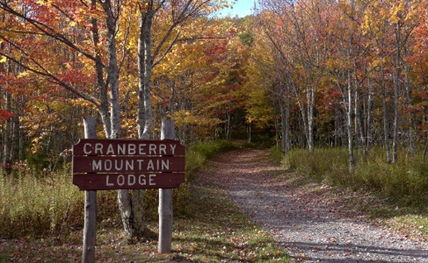 Secluded Cabin Rental with Hot Tub on Cranberry Mountain in West Virginia