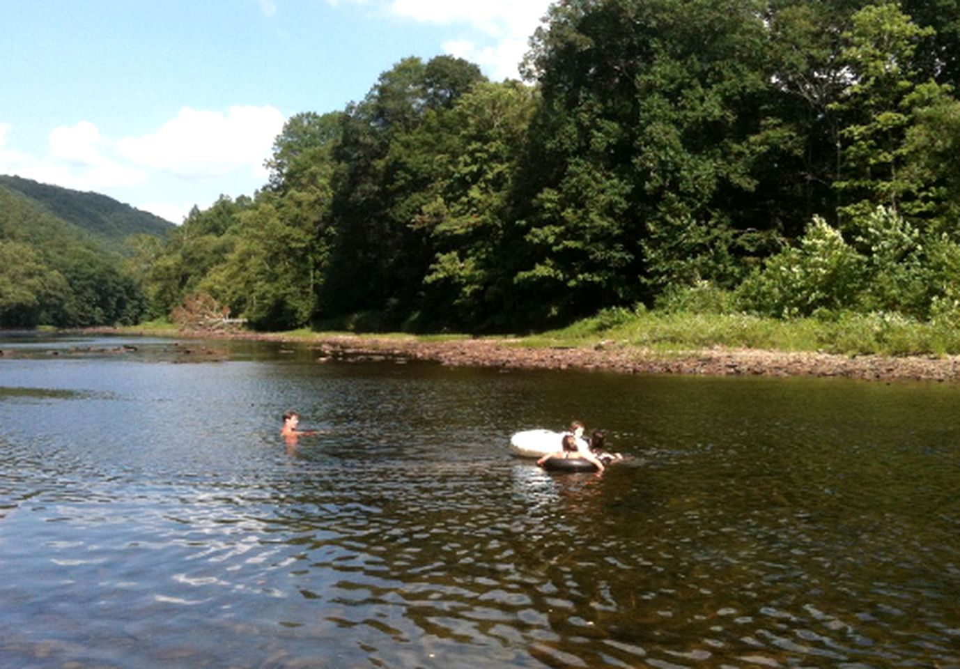 Secluded Cabin Rental with Hot Tub on Cranberry Mountain in West Virginia