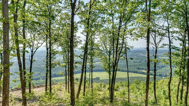 Tiny Houses (United States of America, Menlo, Georgia)