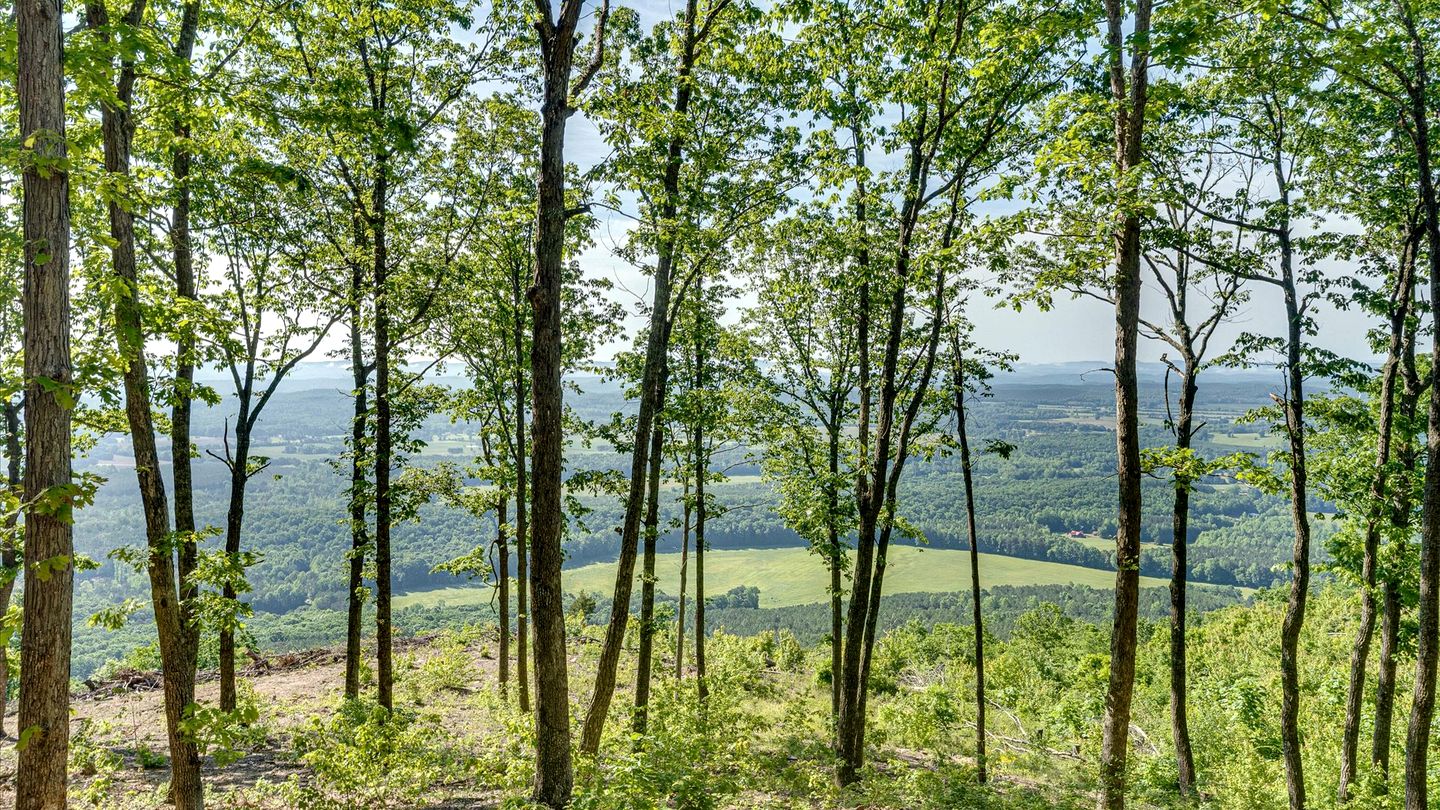 Peaceful Mountain Tiny Home with Breathtaking Valley Views & Fireplace Near Lookout Mountain, Menlo GA
