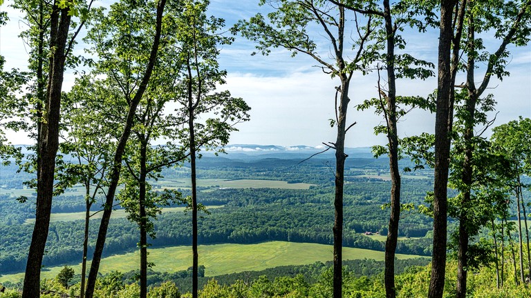 Tiny Houses (United States of America, Menlo, Georgia)