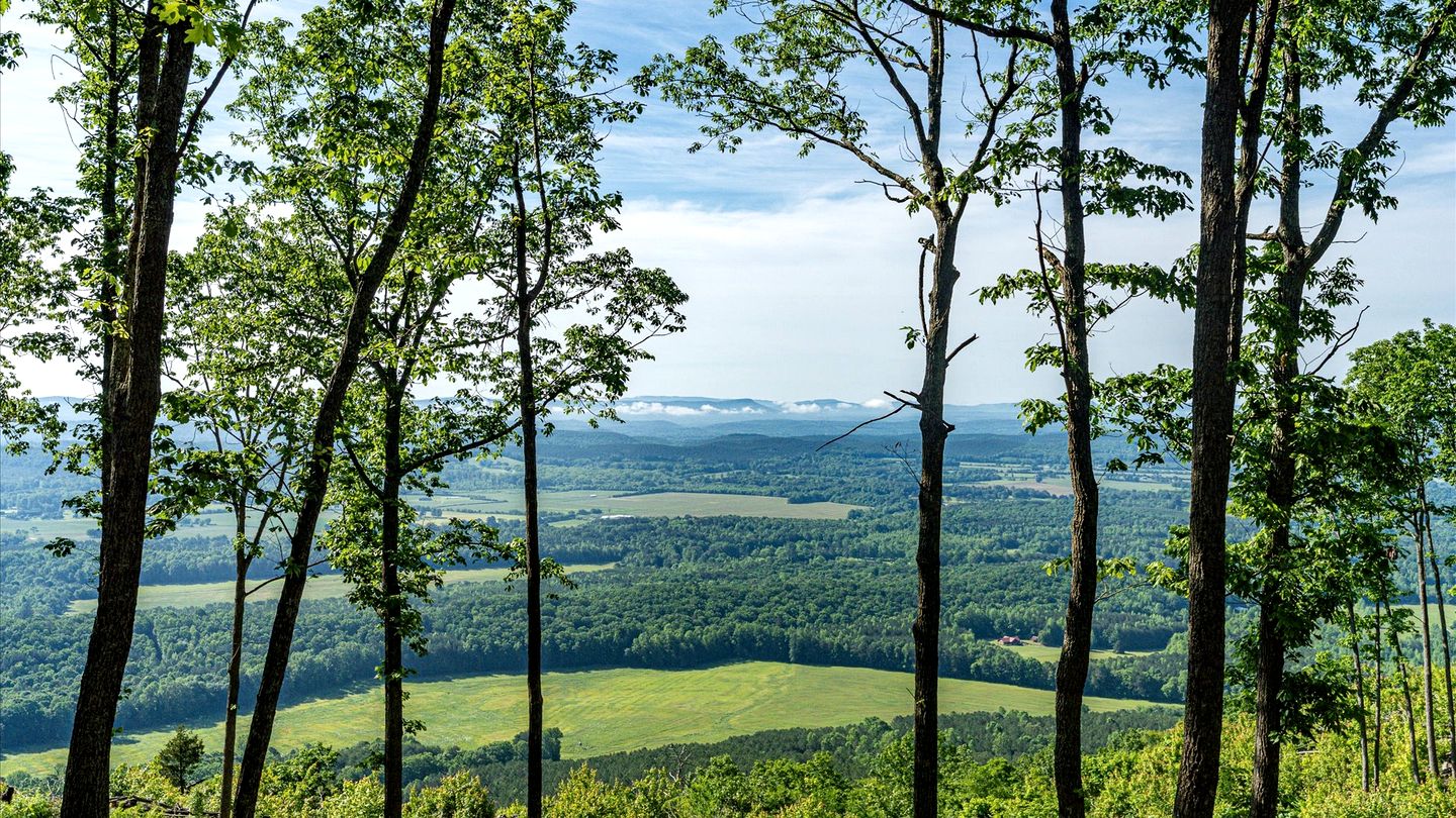 Peaceful Mountain Tiny Home with Breathtaking Valley Views & Fireplace Near Lookout Mountain, Menlo GA