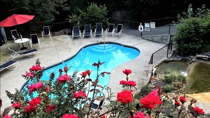 undefined photo 3