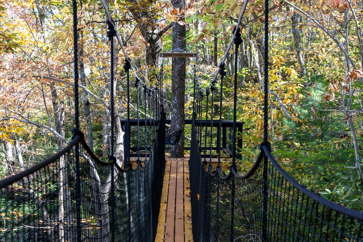 Enchanted Geometric Treehouse with 360° Windows & Hot Tub Near Highlands, NC