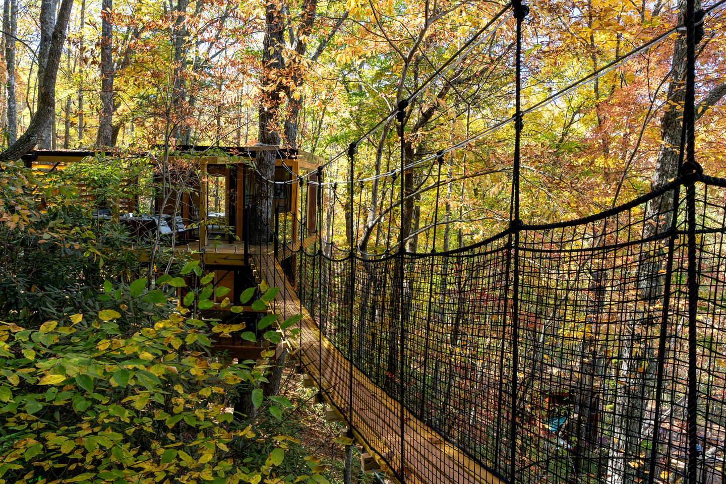 Enchanted Geometric Treehouse with 360° Windows & Hot Tub Near Highlands, NC