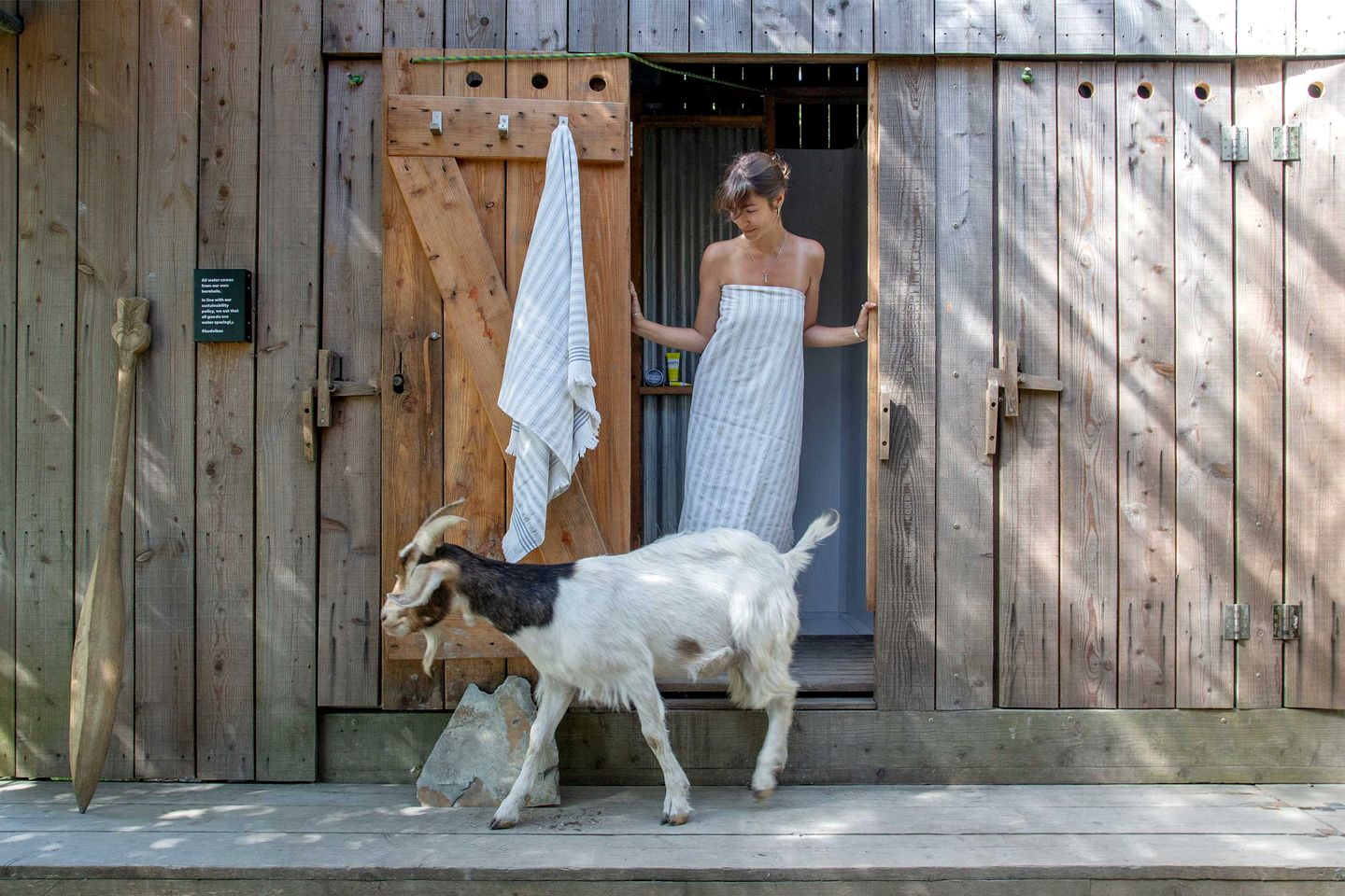 Enchanted Woodland Cabin Haven near Tintagel Waterfall in Cornwall