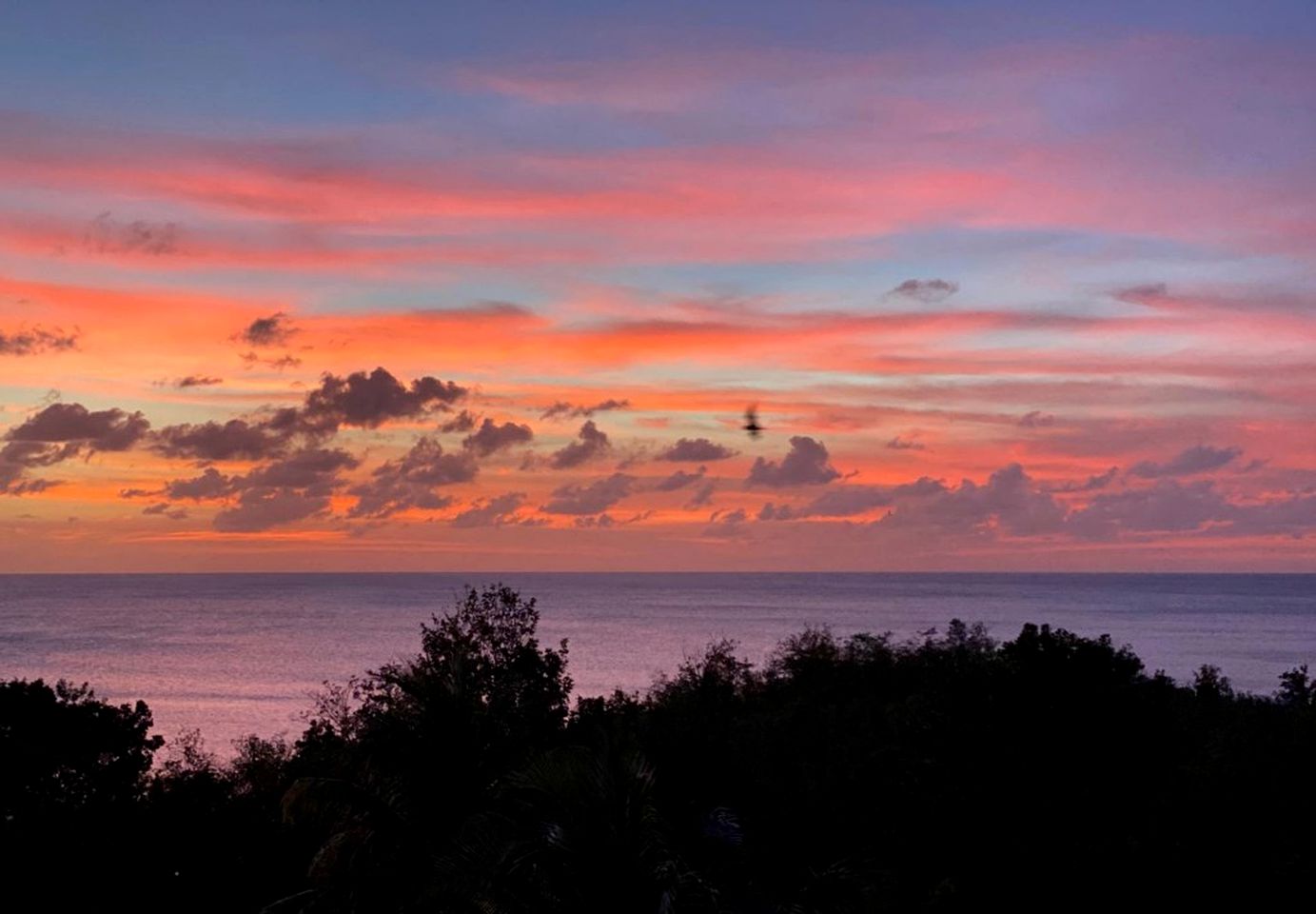 Tropical Villa Retreat with Stunning Sea Views, Private Pool, and Lush Gardens in Marisule, St. Lucia