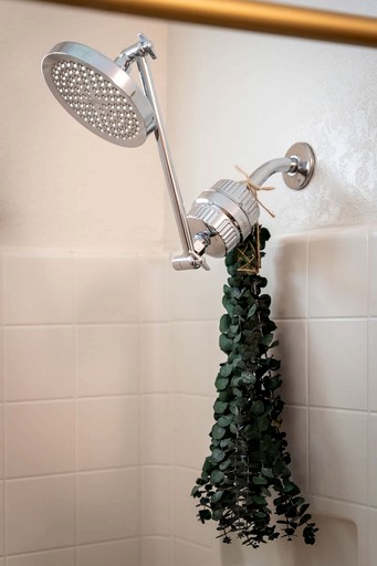 Vacation Rentals (United States of America, Reno, Nevada)