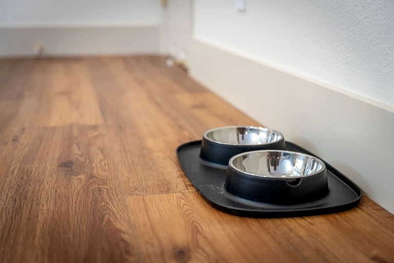 Vacation Rentals (United States of America, Reno, Nevada)