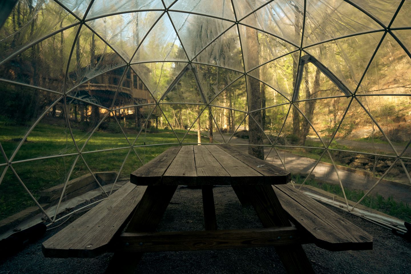 Amazing Secluded Tree House with Fire Pit in Gatlinburg, Tennessee