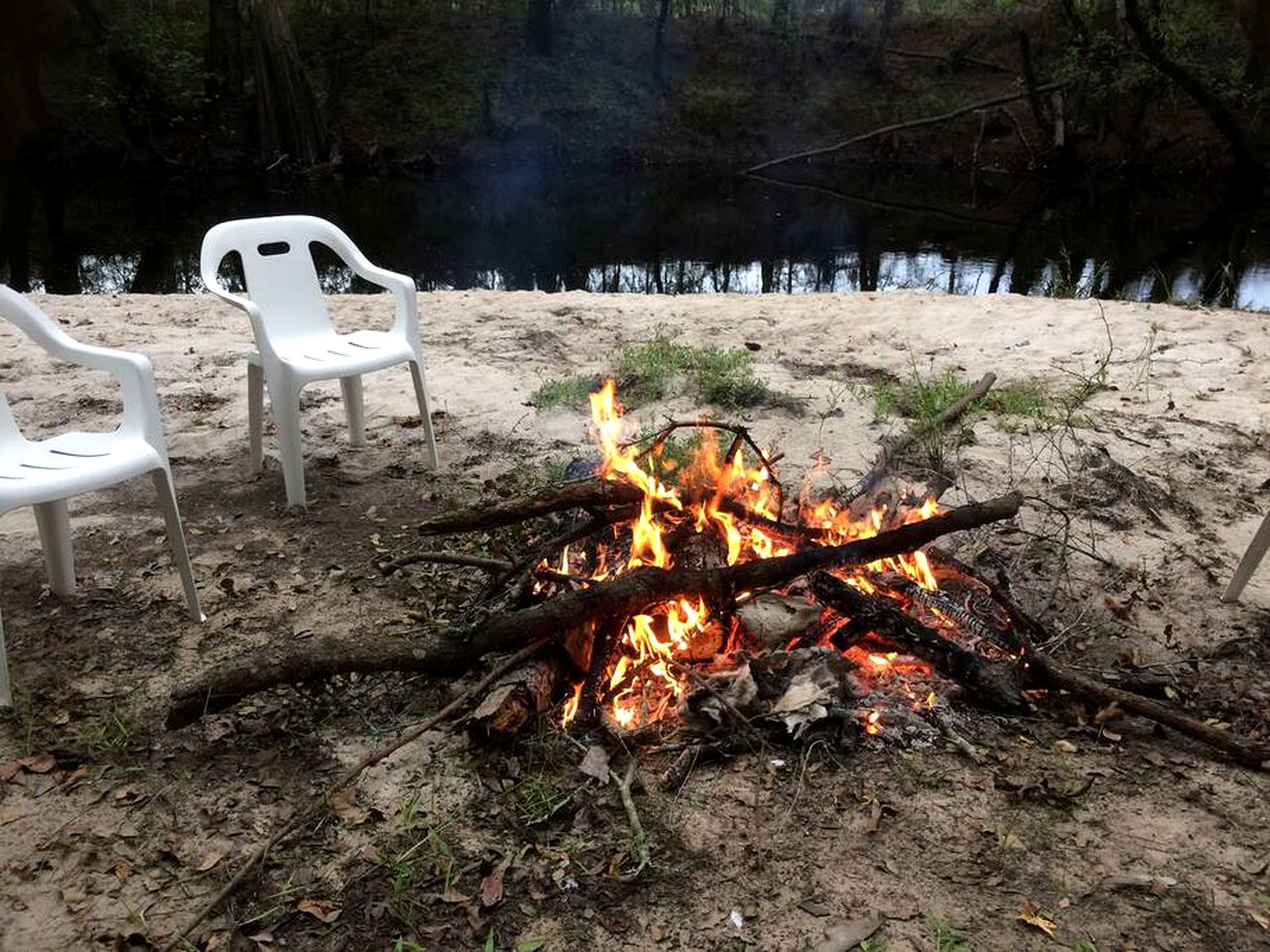 Serenity by the River: Glamping in Claxton, Georgia