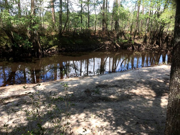 Vacation Rentals (United States of America, --, --)