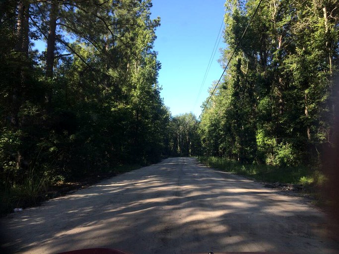 Vacation Rentals (United States of America, --, --)