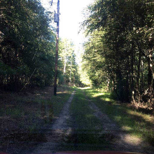 Vacation Rentals (United States of America, --, --)