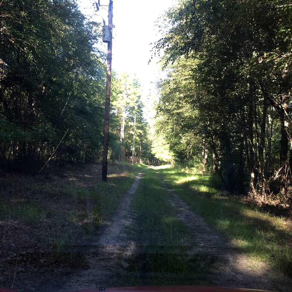 Serenity by the River: Glamping in Claxton, Georgia