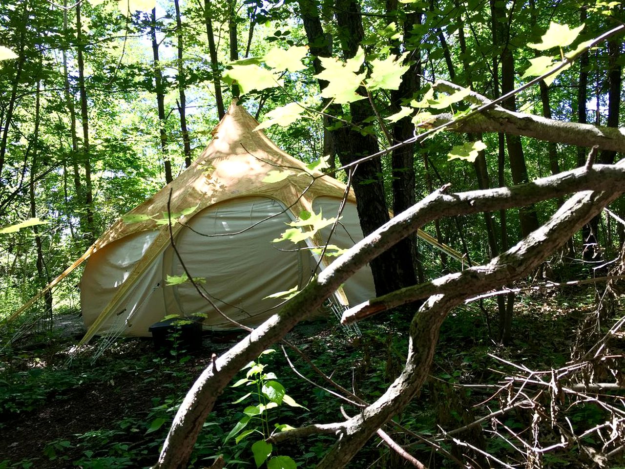 Luxury Camping Tent near Oaks Opening Preserve in Swanton, Ohio