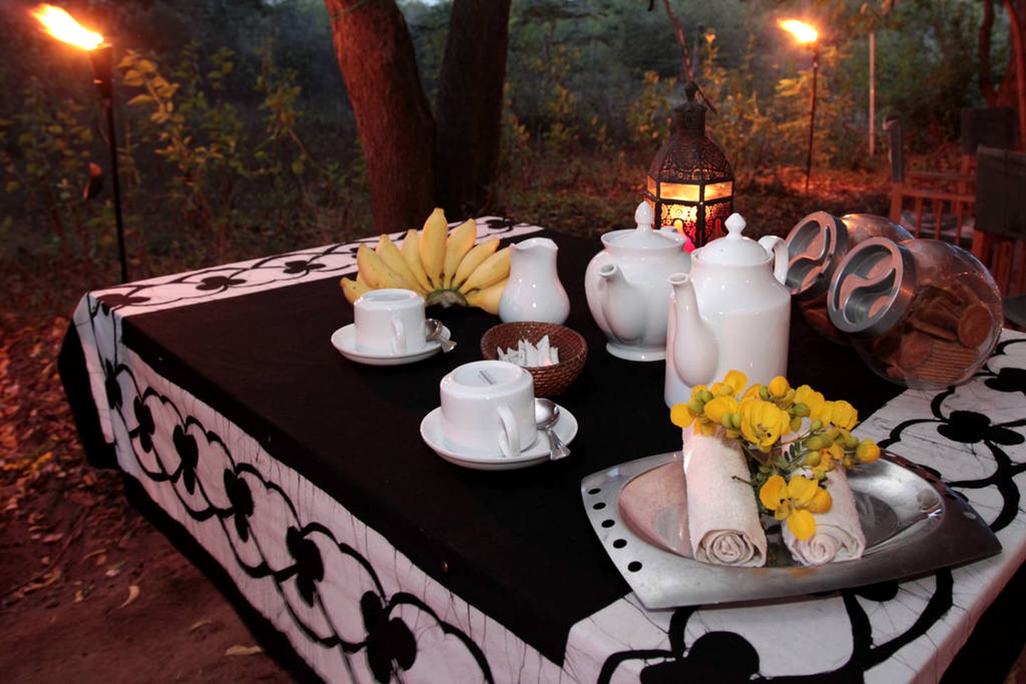 Spacious Safari Accommodation in the Rainforest of Anuradhapura, Sri Lanka