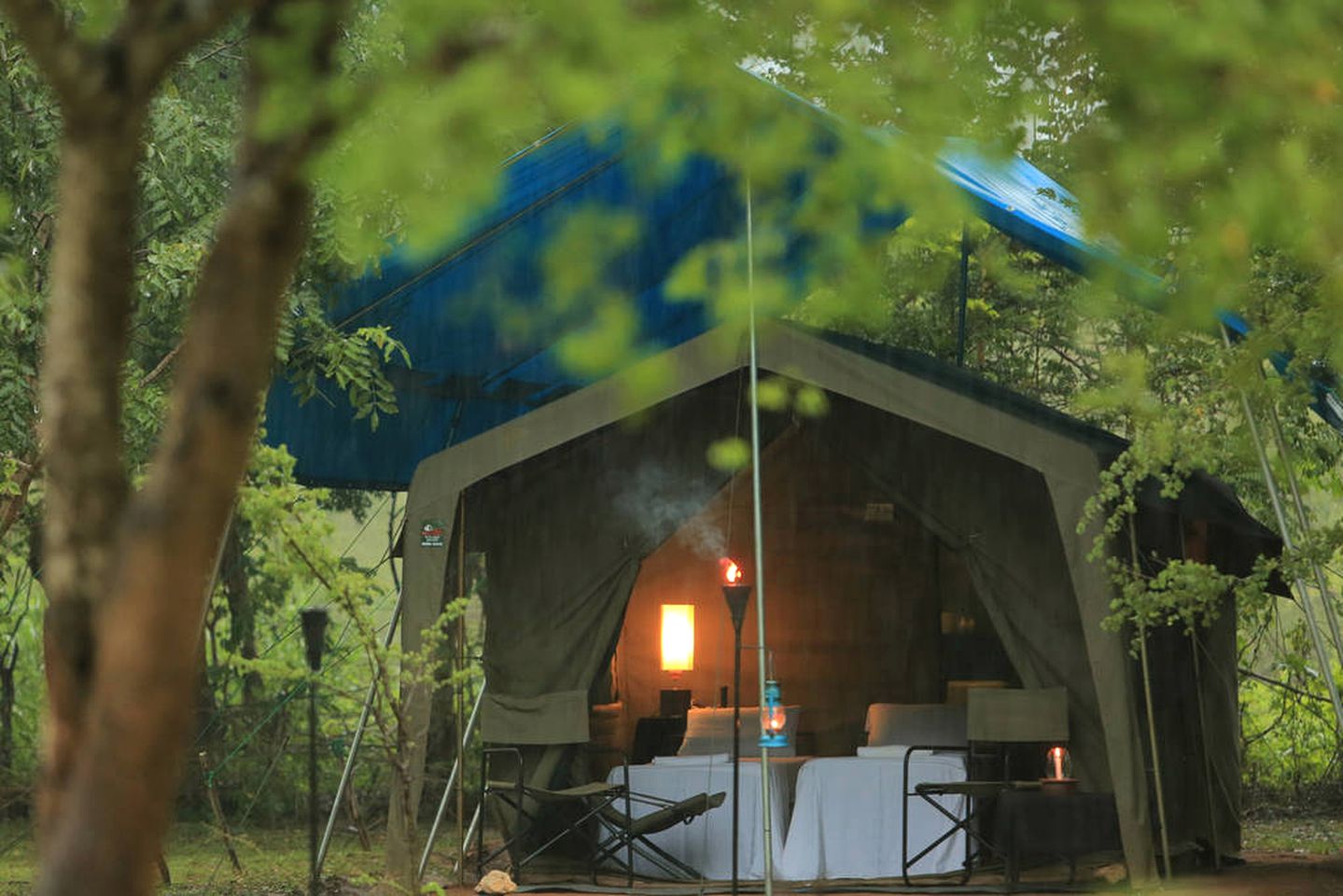 Spacious Safari Accommodation in the Rainforest of Anuradhapura, Sri Lanka