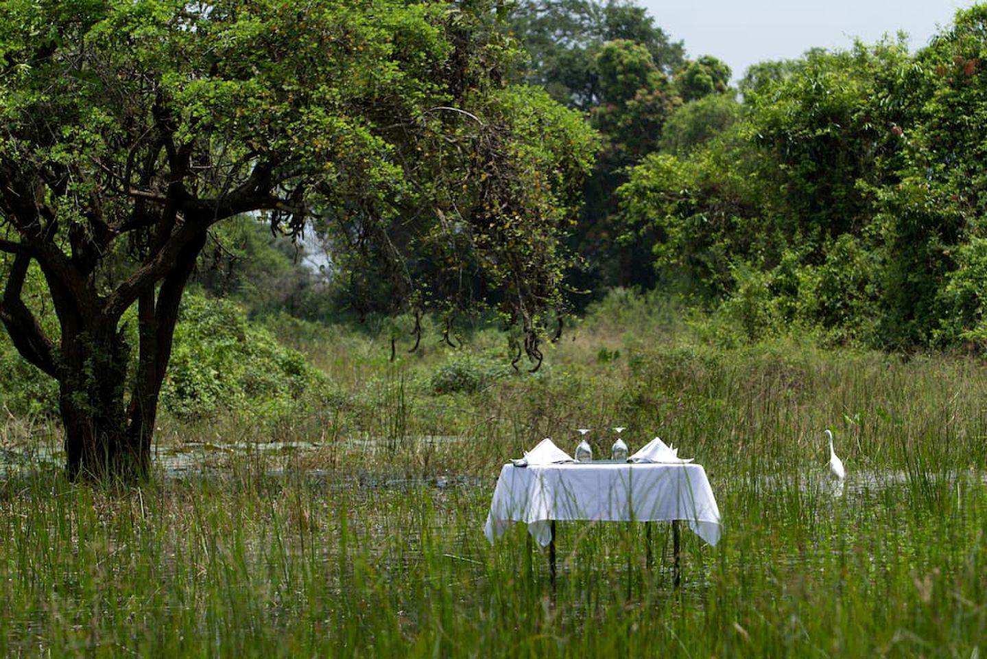 Spacious Safari Accommodation in the Rainforest of Anuradhapura, Sri Lanka