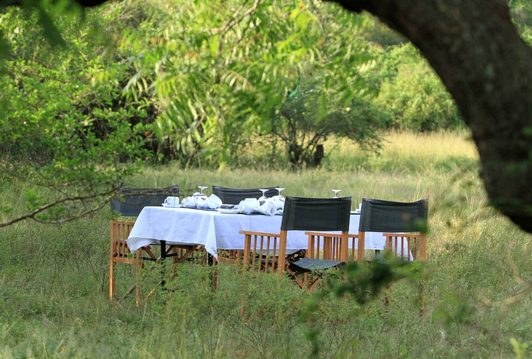 Safari Tents (Anuradhapura, North Central Province, Sri Lanka)