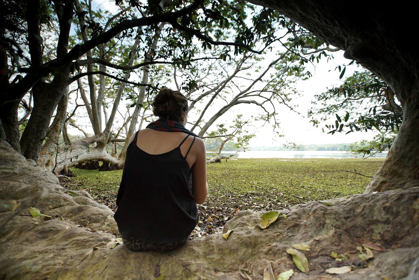 Spacious Safari Accommodation in the Rainforest of Anuradhapura, Sri Lanka