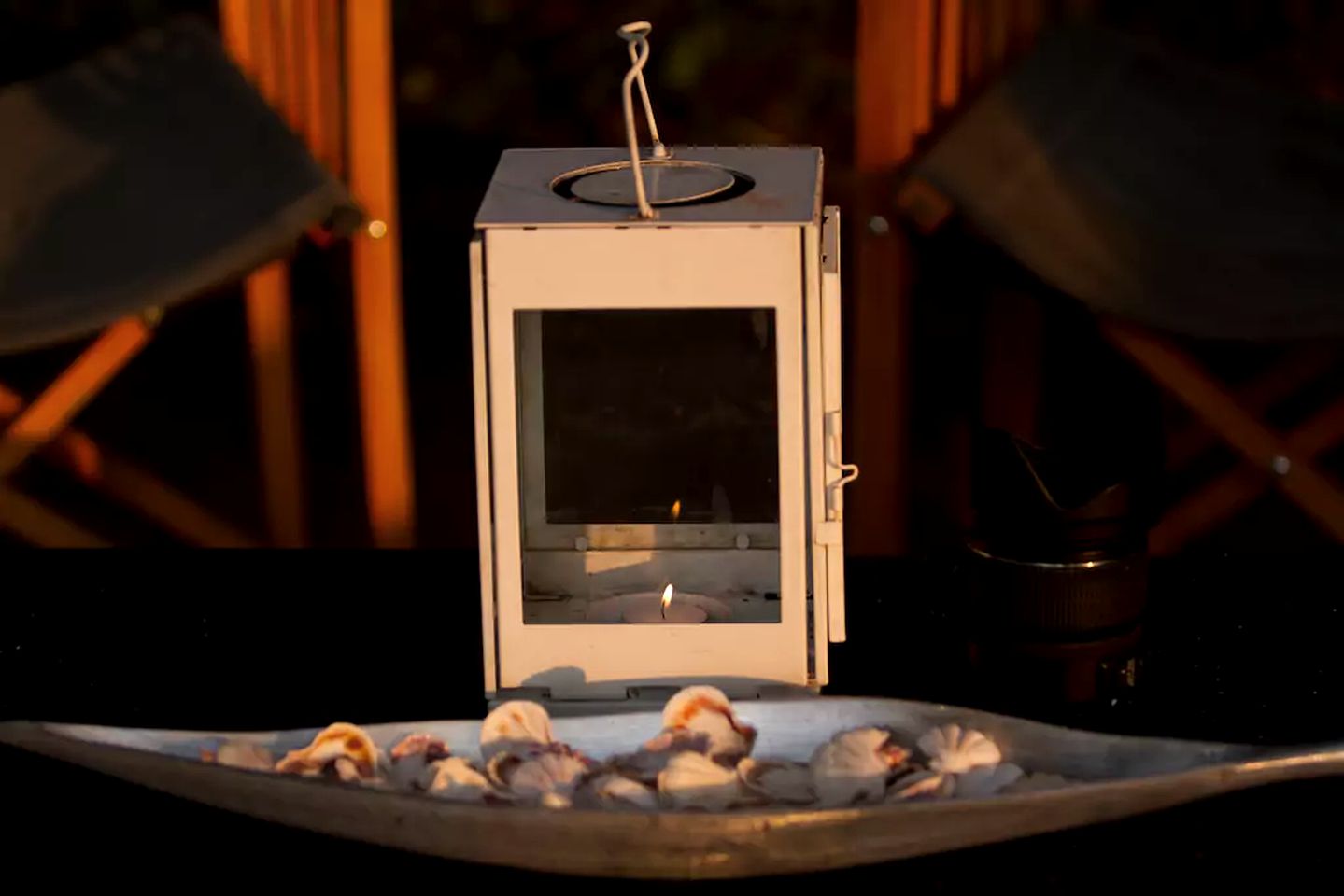 Expansive Safari Tent Accommodation in Wilpattu National Park, Sri Lanka